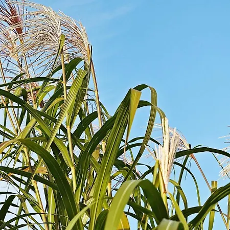 בית נופש 16 Person In Hasselberg